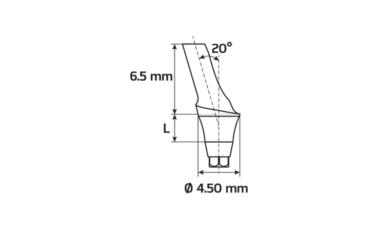 Immagine di Abutment anatomico concavo angolato 20° / H3